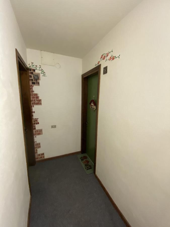 Casa Lola Apartman Falcade Kültér fotó